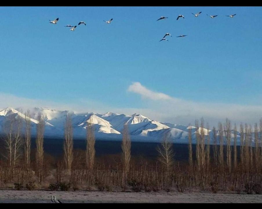 Rio Los Patos 巴雷阿尔 外观 照片