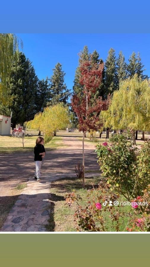 Rio Los Patos 巴雷阿尔 外观 照片